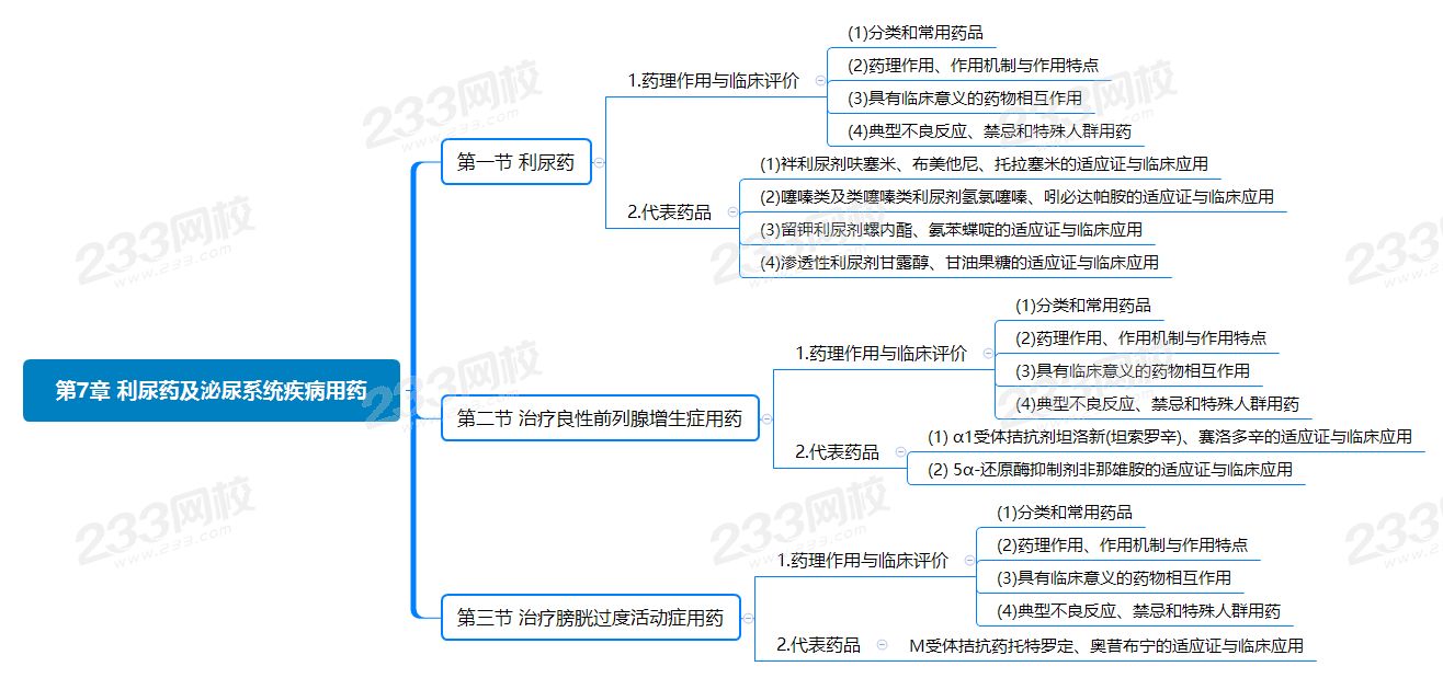 第7章 利尿药及泌尿系统疾病用药.png